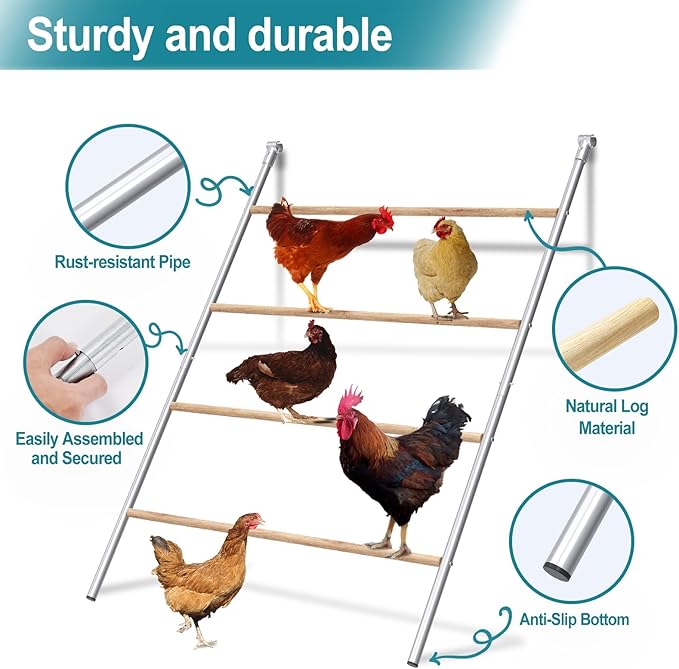 Chicken Perch, Chicken Coop Roosting Perch - Image 3