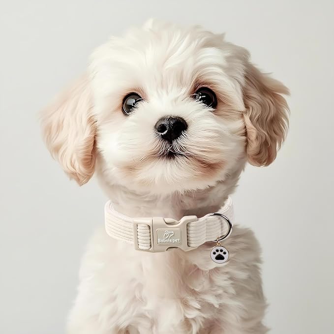 Cute Corduroy Dog Collar - Image 2