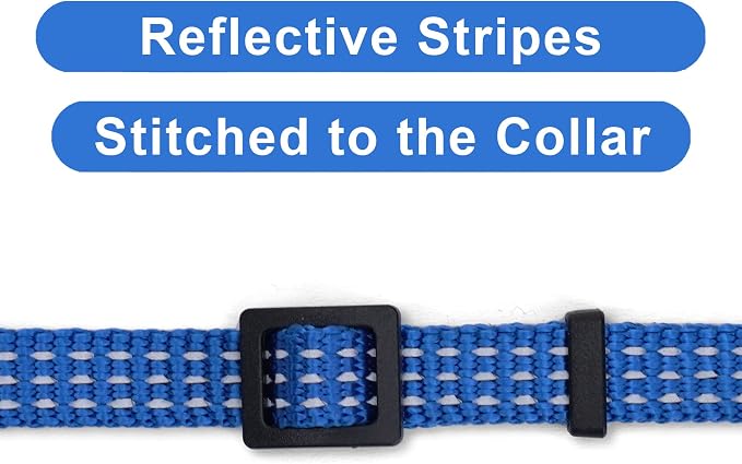 Pawtitas Reflective Blue Cat Collar - Image 4