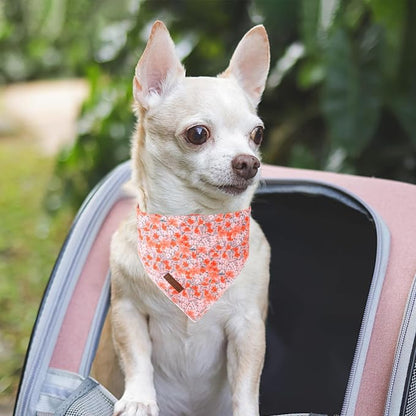 Summer Dog Bandana, UP URARA PUP Orange Bandana - Image 6