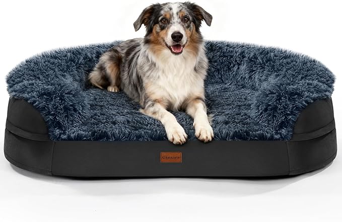 Black Dog Beds for Large Dog, Removable and Washable Cover, Raised Reboundable by iweepet