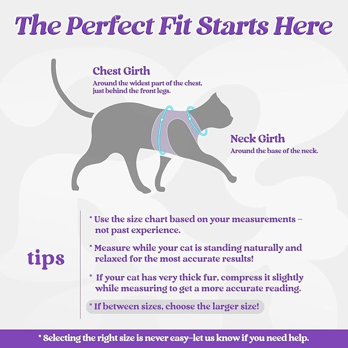 rabbitgoo Cat Harness and Leash Set - Image 2