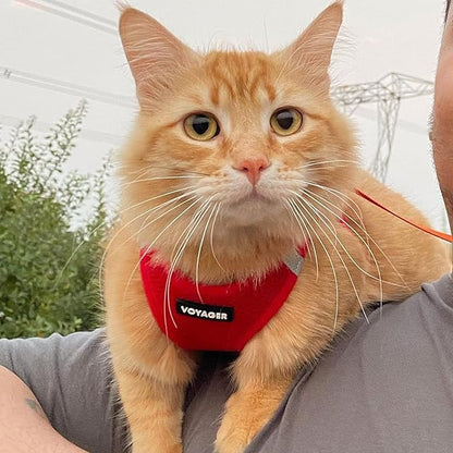 Best Pet Supplies Voyager Step-in Air All Weather Mesh Harness and Reflective - Image 7