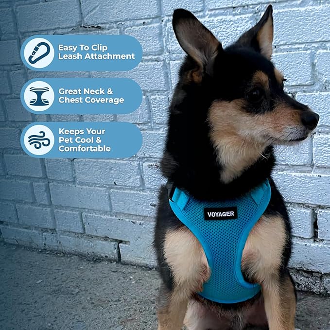Voyager Step-in Pet Harness - Image 3