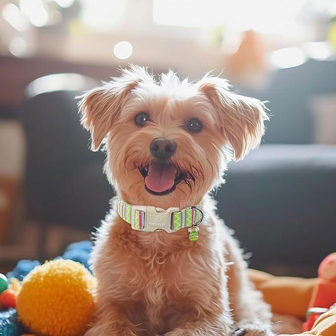 Easter Dog Collar for Medium Dogs - Image 2