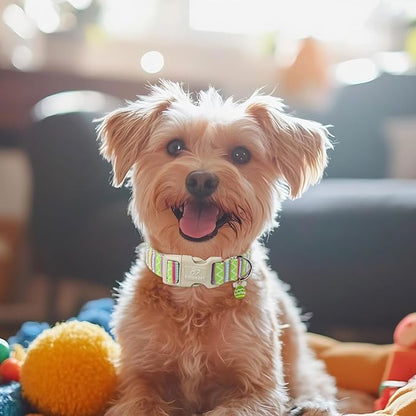 Easter Dog Collar for Medium Dogs - Image 2