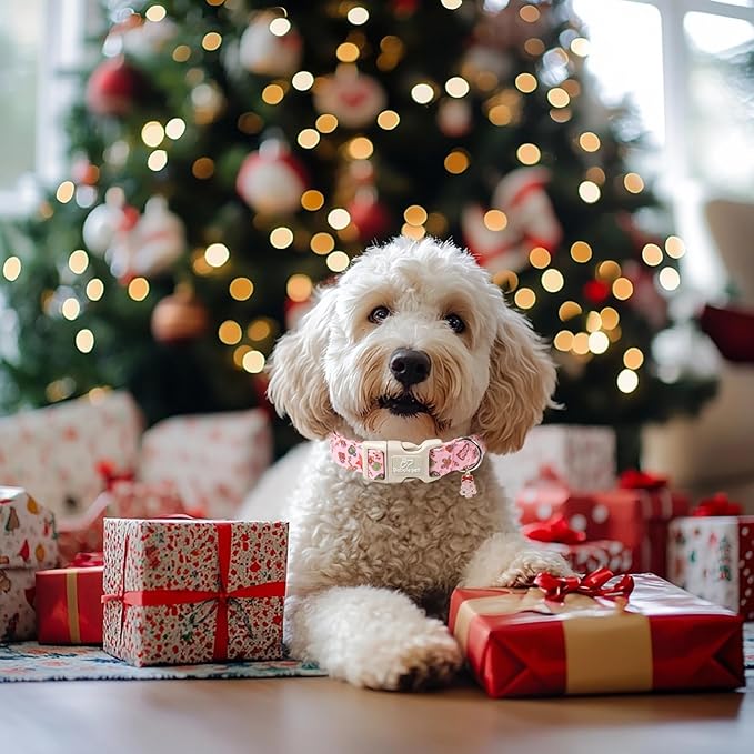Christmas Dog Collar - Image 2