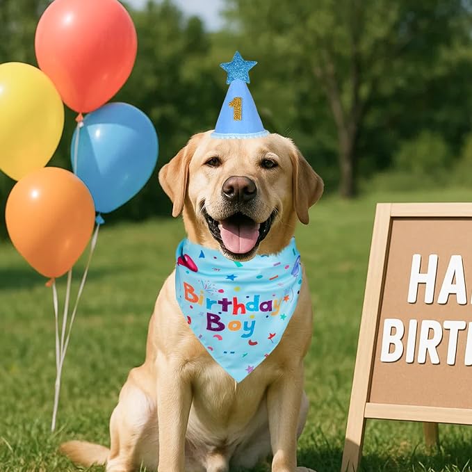 Dog Boy Girl Birthday Party Hat, Dog Birthday Party Supplies, Birthday Bandana - Image 6