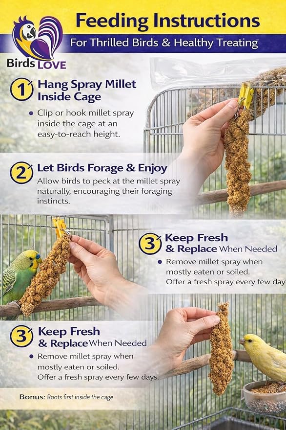 Birds LOVE Millet Tips & Tails for Birds - Image 4