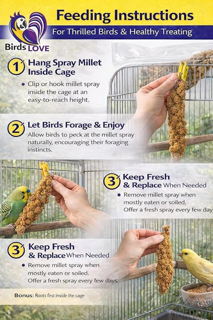 Birds LOVE Millet Tips & Tails for Birds - Image 4