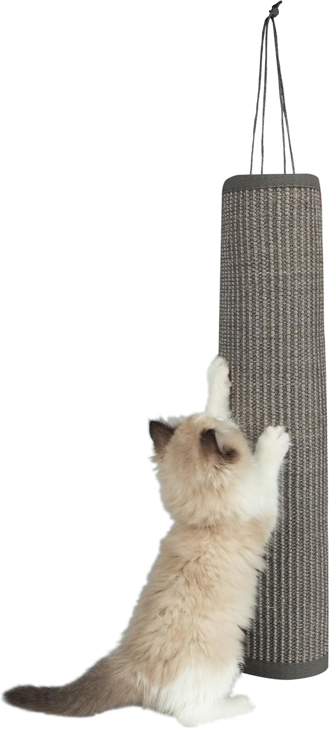 Best Pet Supplies Catify Cat Scratcher, Fun Interactive Scratchers, Claw Safe by BestPetSuppliesLLC