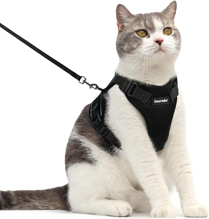 Dooradar Cat Harness and Leash Set, Escape Proof Safe Adjustable Kitten Vest by Dooradar