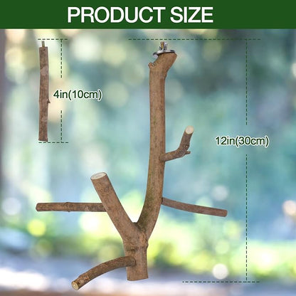 Bird Perch Stand, Natural Vitex Negundo Wood Parrot Perch Bird Cage Branch Perch - Image 5