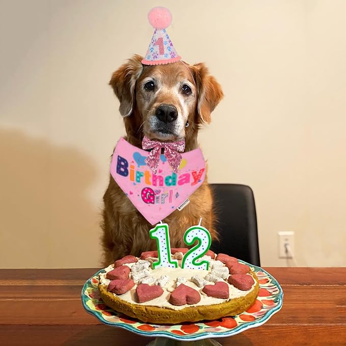 ADOGGYGO Dog Birthday Party Supplies - Image 2