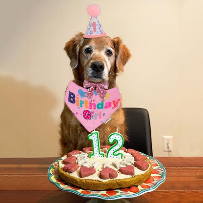 ADOGGYGO Dog Birthday Party Supplies - Image 2