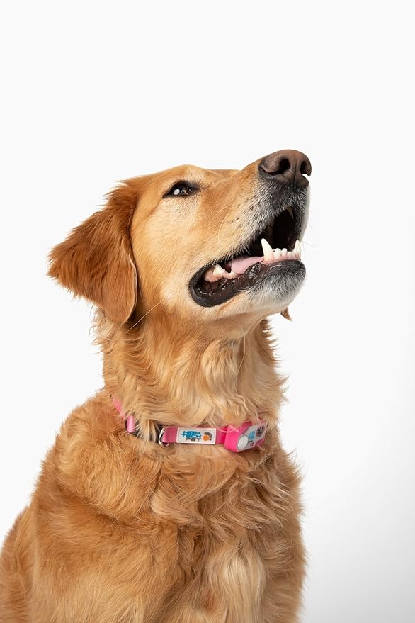 MS-5 Designer Series, Premium Performance Automatic Pet Door Collar by High - Image 2