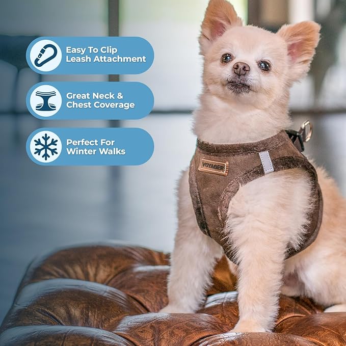Best Pet Supplies - Image 5