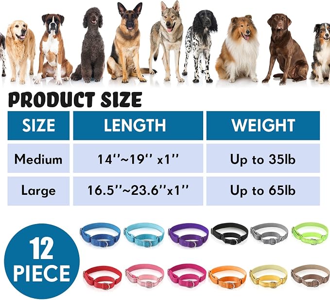 Cunno 12 Pcs Martingale Collar for Medium Dogs Reflective Dog Collar - Image 3