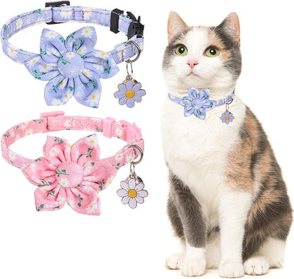Breakaway Cat Collars for Girl Boy Cats, 2 Pack Cute Kitten Collar by DILLYBUD