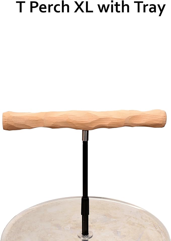 Parrot Training Perch Stand - Image 3