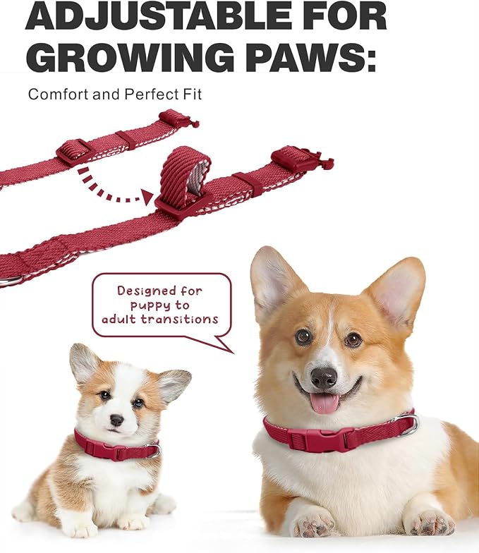 Dynmeow Soft and Breathable Cotton Dog Collar, Durable Adjustable Pet Collar - Image 3