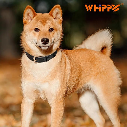 WHIPPY Leather Dog Collar for Small Medium Large Dog Adjustable Soft Breathable - Image 2
