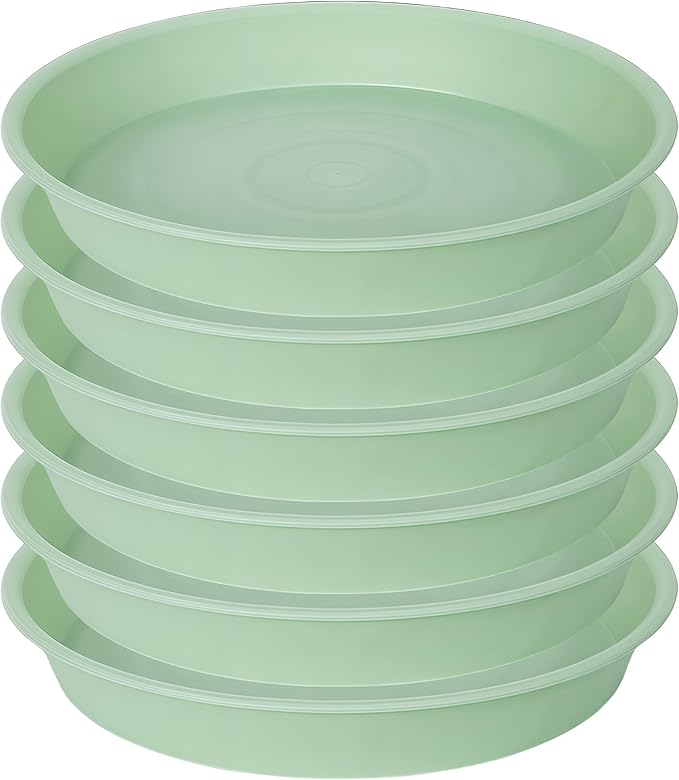 6 Pack Plastic Plant Saucer Water Drip Tray, 4 5 6 7 8 9 10 11 12 13 15 17 19 by Bleuhome