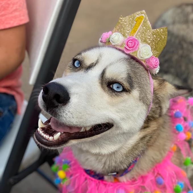 Dog Birthday Crown Hat - Image 5