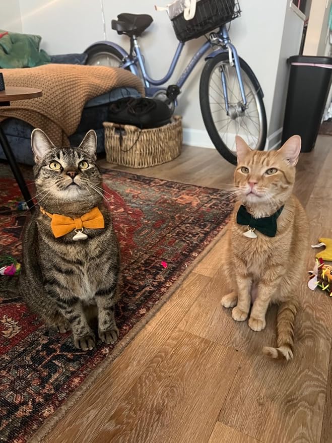 2 Pack Soft Corduroy Cat Collars - Image 6