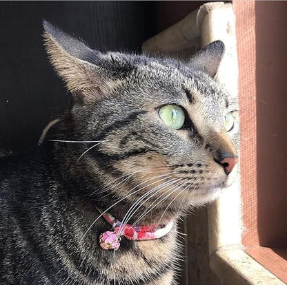 PetSoKoo Four-Leaf Clover Cat Collar - Image 6