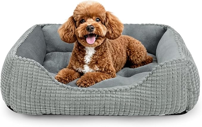 MIXJOY Rectangle Washable Orthopedic Dog Bed by MIXJOY