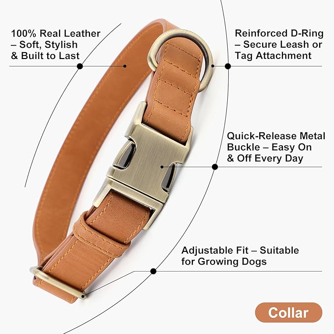Plutus Pet Genuine Leather Dog Collar – Adjustable Pet Collar - Image 2