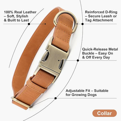 Plutus Pet Genuine Leather Dog Collar – Adjustable Pet Collar - Image 2