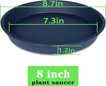 6 Pack of 8 inch Plant Saucer Blue, Plastic Plant Water Tray 8 inch Round - Image 2