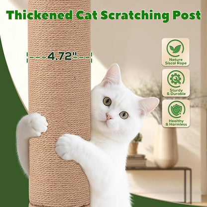 62 Inch Tall Cat Scratching Post - Image 3
