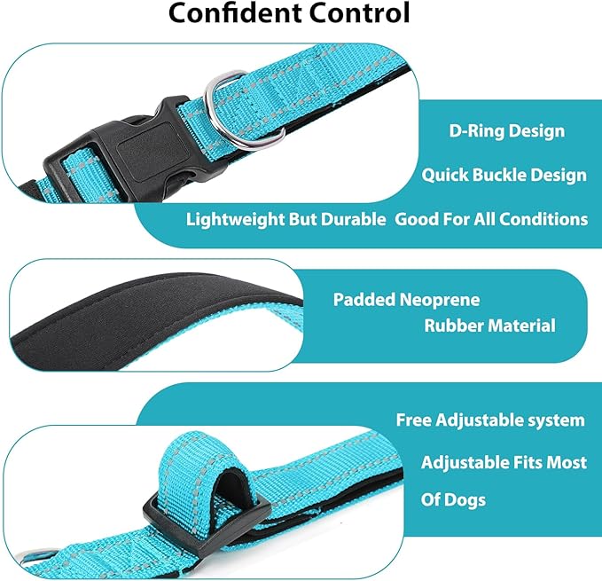 Reflective Dog Collar Padded - Image 4