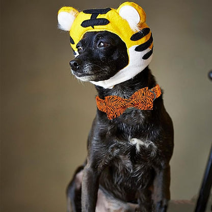 Elegant little tail Dog Collar, Tiger Print Pet Collar Fashion Boy Dog Collars - Image 5