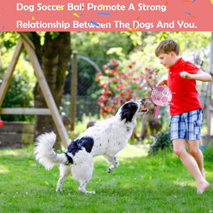 Dog Soccer Ball, Interactive Toys - Image 4
