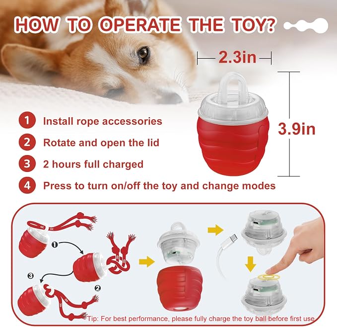 Interactive Dog Toy, Motion Activated Rolling Squeaky Ball - Image 5