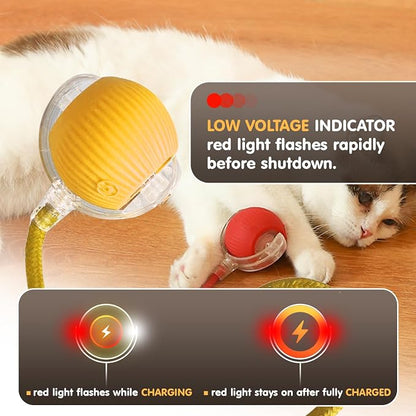 Rocfish Durable Interactive Cat Toys - Image 7