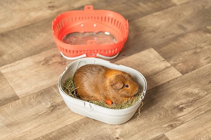 Trixie Pico Transport Crate, Small Pet Carrier, Portable Travel Carrier - Image 6