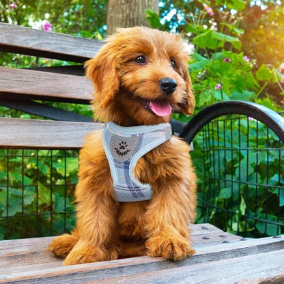PUPTECK Adjustable Dog Harness Collar and Leash Set Step in No Pull Pet Harness - Image 8