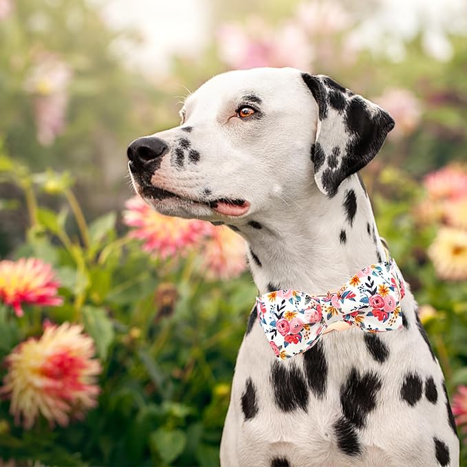 Lionheart glory Dog Collar Bow Collar Floral Dog Collar - Image 4