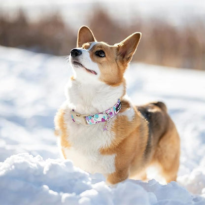 Winter Wonderland Dog Collar for Small Dogs，Adjustable White Puppy Collar - Image 4