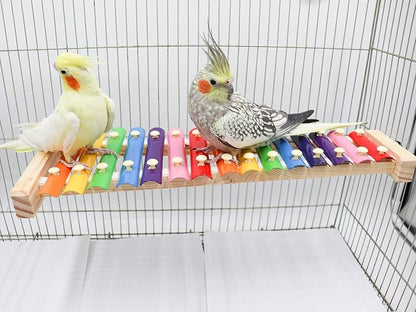Dnoifne Colorful Bird Xylophone Toy, Funny Xylophone Toy - Image 2