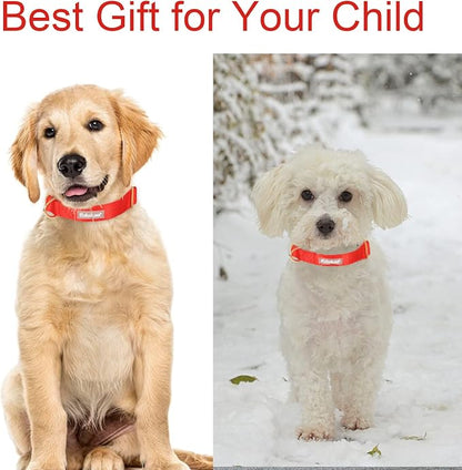 Nylon Dog Collar - Image 3