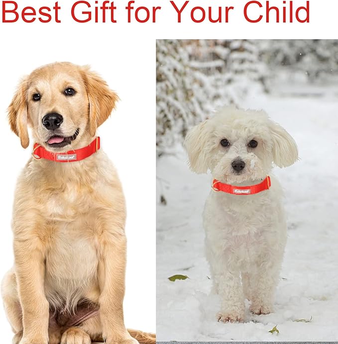 Nylon Dog Collar - Image 3