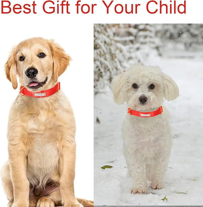 Nylon Dog Collar - Image 3