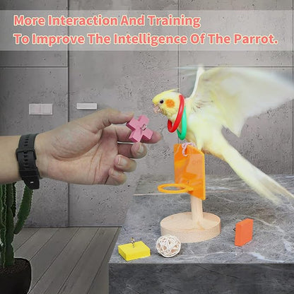 Bird Toys for Parakeets - Image 5