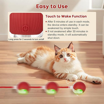 Interactive Dog & Cat Electric Active Toys, Smart Rolling Ball - Image 4
